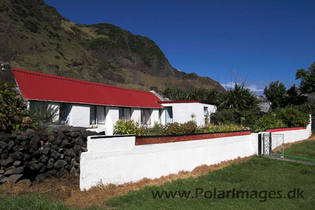 Tristan da Cunha  PICT3864