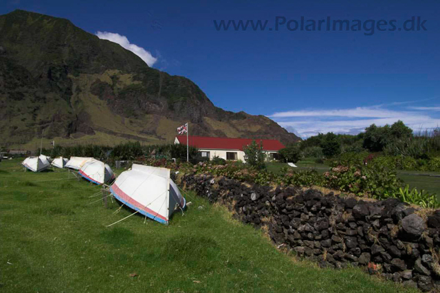 Tristan da Cunha  PICT3874